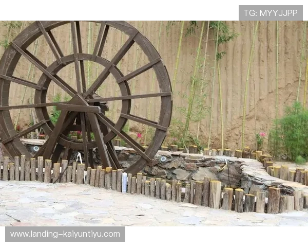 开云真人在线平台全面解析，带你体验最真实的线上真人娱乐体验