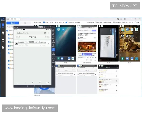 掌握开云在线登录路口的最新技巧，提升游戏登录效率与安全性